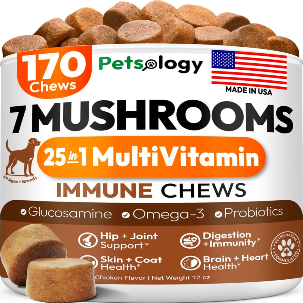 Petsology Turkey Tail dog chews bottle shows immune support potential for dogs.