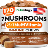 Petsology Turkey Tail dog chews bottle shows immune support potential for dogs.