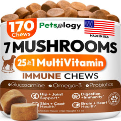 Petsology Turkey Tail dog chews bottle shows immune support potential for dogs.