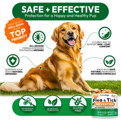 Petsology USA-made chews in bottle emphasize US safety standards and quality.