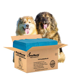 PETSWORLD enormous dog training pad 37x54 in use supports large dogs during house training.