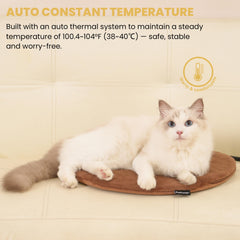 PetTemp chew-resistant cord closeup highlights durable pet safety