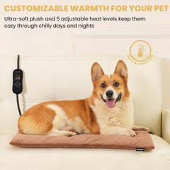 PetTemp heated bed for multi-pet home demonstrates shared warmth across multiple pets.