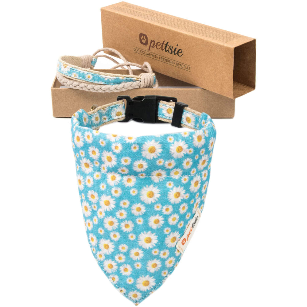 Pettsie dog bandana collar turquoise worn for stylish daily adventures.