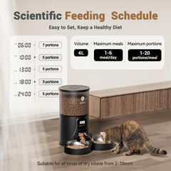 PETULTRA automatic cat feeder two bowls layout enabling simultaneous feeding