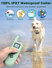 PETURE Dog Collar night flashlight improves visibility during evening walks.