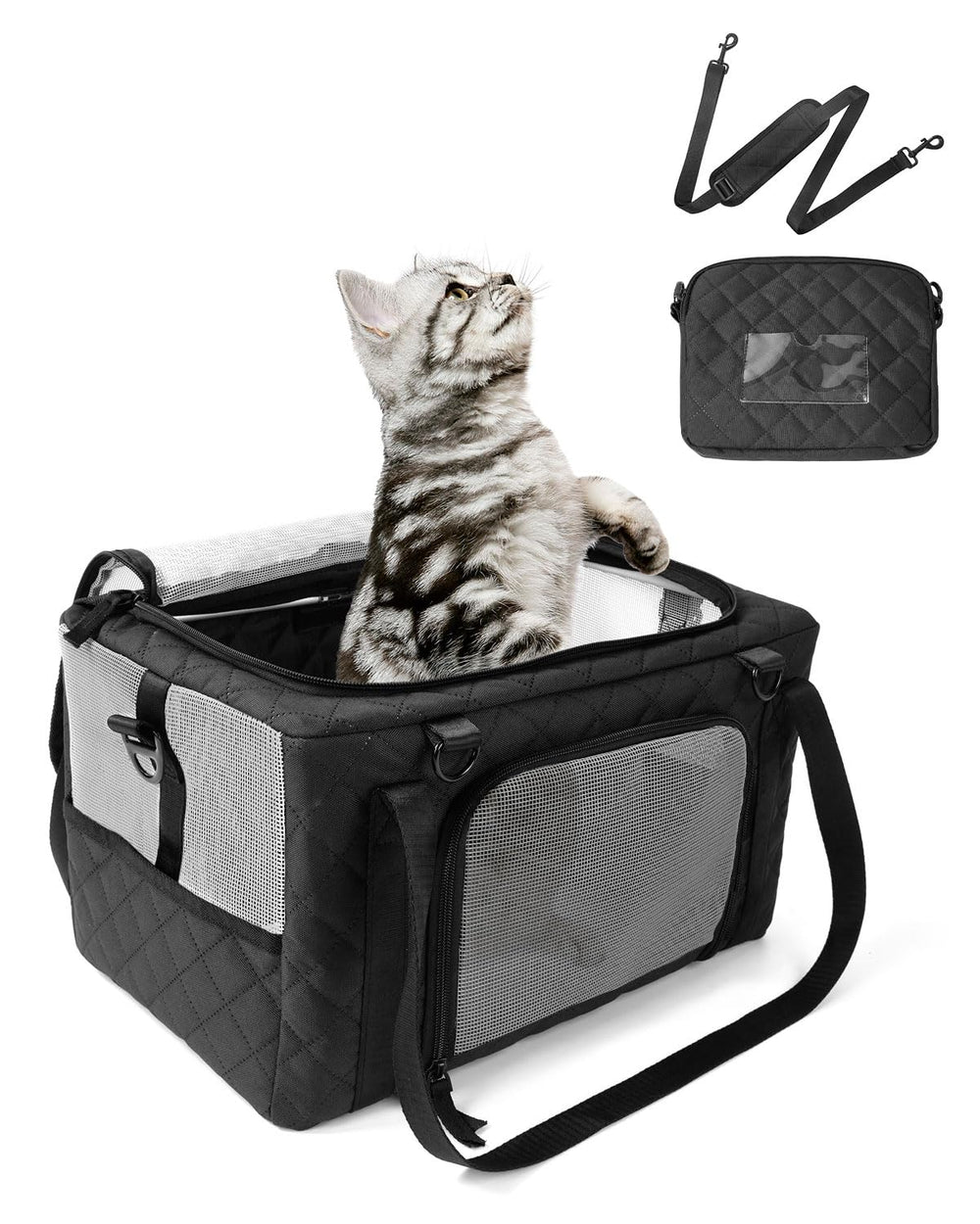 Petux airline-approved cat carrier underseat, ideal for compact cabin travel and close-cat comfort.