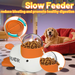 PETVENTURE durable bite-resistant plastic endures playful sessions.