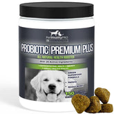 PetVitalityPRO probiotic bottle and chews for dogs promoting gut health and digestion