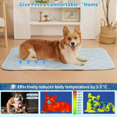 Petvolve cooling mat placed on floor for versatile all-season cooling.