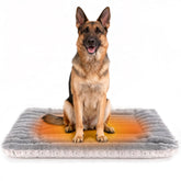 Petvolve self-warming bed front view shows cozy warmth for pets.