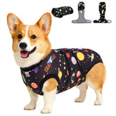 PetWarm dog neuter suit front view for full coverage supporting post-surgery comfort