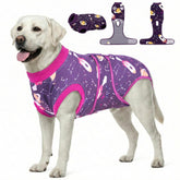 PetWarm dog recovery suit front view in cosmic purple-yellow, easing post-surgery comfort.