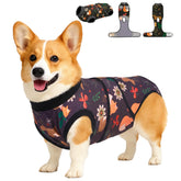 PetWarm dog surgery suit on calm dog showing soft breathable fabric for comfort