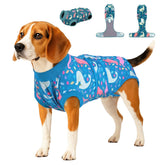 PetWarm male dog recovery suit front view showing comfortable post-surgery fit