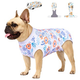 PetWarm recovery suit on a dog resting, enhances comfort and wound protection.