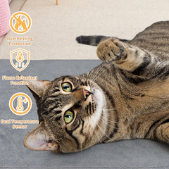 PETZOOKA heating pad temperature-control close-up highlighting precise warmth