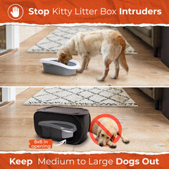 PEXTER cat litter box enclosure indoor-use setup fits laundry room or bathroom