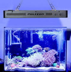 Phlizon 165W light coverage image highlights broad light spread over a 36-inch tank.