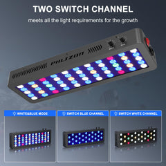 Phlizon 165W dimmer with two channels enables day and night lighting for adaptive growth.