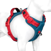 PHOEPET arnés No Pull con base azul-verde reflectante para mayor visibilidad