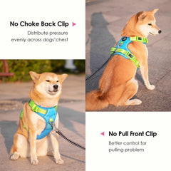 PHOEPET No Pull Harness padded back handle provides controlled assistance during exits and car rides.