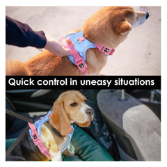 PHOEPET No Pull Harness reflective material visible for safer dusk walks.