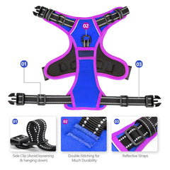 PHOEPET training handle aids closer control and car assist