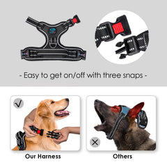 PHOEPET Reflective Harness XL with 3 buckles for secure, quick adjustments.