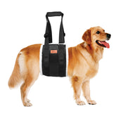 PICK FOR LIFE: arnés de elevación para perro grande, facilita subir escaleras.
