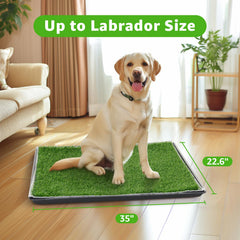 Tray and base design of PICK FOR LIFE potty with urine separation.