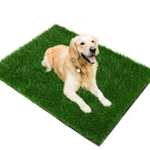 PICK FOR LIFE grass pad 39-3x19-7 dog potty area provides roomy real-grass feel for training