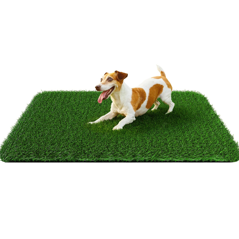 PICK FOR LIFE Grass Pad 32x48 full view shows spacious potty area for dogs.