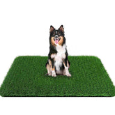 PICK FOR LIFE Grass Pad for Dogs shows a large surface ideal for potty breaks and training.