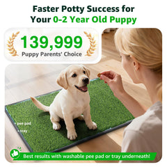 PICK FOR LIFE grass pad wide shot placed in a home to fit small spaces.