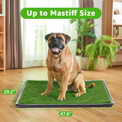 Pick For Life washable puppy pad close-up highlighting reuse and cost savings.