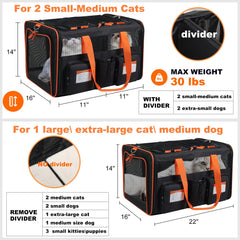 Pidipiti large double pet carrier divider attached demonstrates flexible configuration for two pets during vet visits