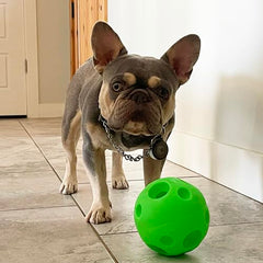 Piggy Poo and Crew large treat ball green close-up dispensing treats for rewarding interactive fun.