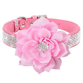 Pimaodog rhinestone collar pink full view shows dazzling style for daily walks.