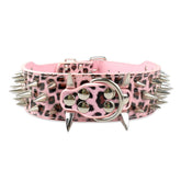 Pimaodog sharp spiked collar leopard closeup with faux leather and studs