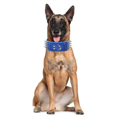 Pimaodog studded collar side view showing 3-inch wide faux leather durability