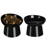 Pin Forest Ceramic Elevated Cat Bowls with Raised Stand for comfortable indoor feeding