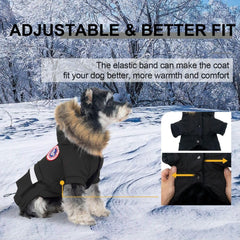 PINA coat with faux fur hood protects neck and head in cold