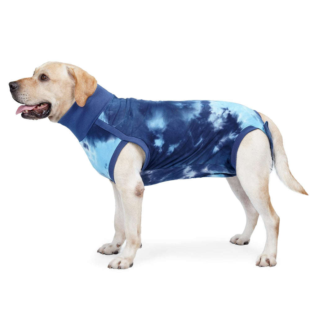 Pinellia breathable dog recovery suit blue2 front view protects wounds.