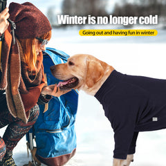 Pinellia dog sweater easy-on-off design shown during quick dressing.