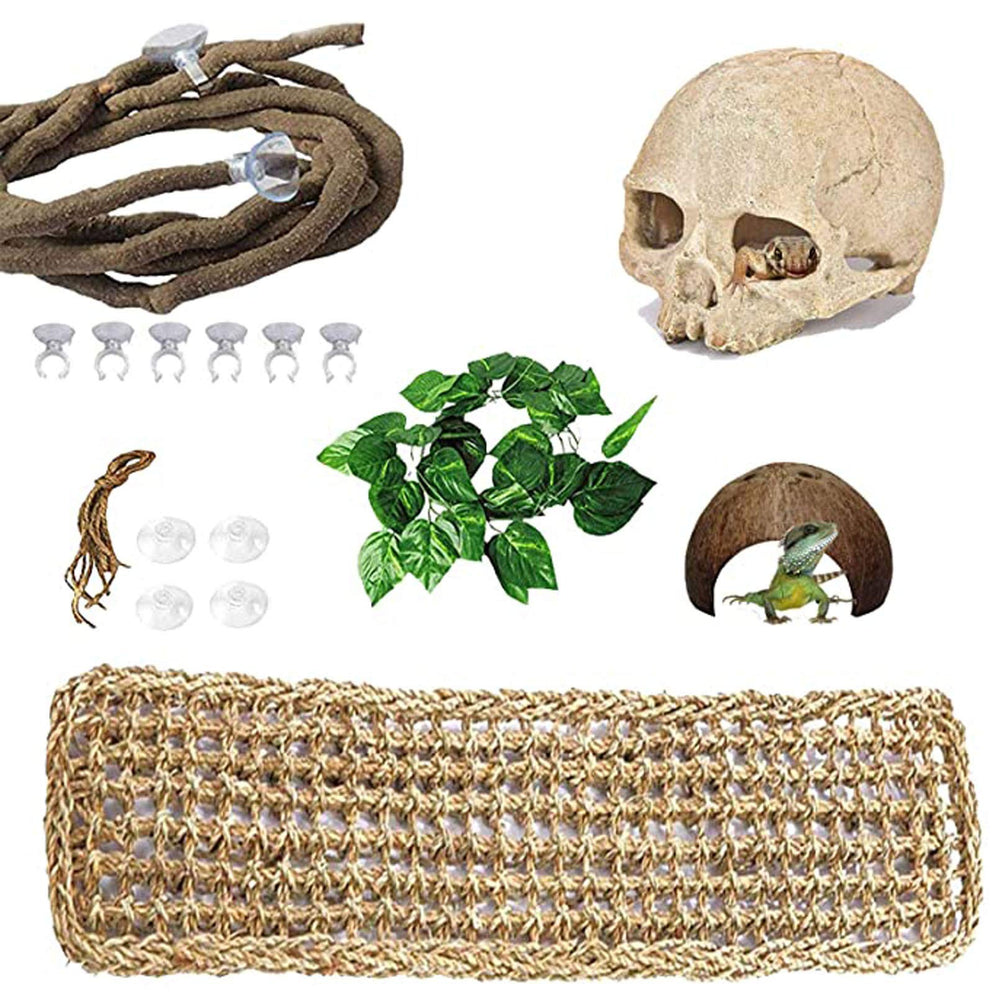 PINVNBY skull decor provides natural hiding spots in terrarium.