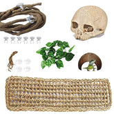 PINVNBY skull decor provides natural hiding spots in terrarium.
