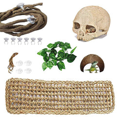 PINVNBY skull decor provides natural hiding spots in terrarium.