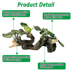 PINVNBY rough texture helps reptiles grip and climb more easily.