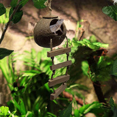 PINVNBY Coco Hut hanging loop terrarium setup for vertical exploration